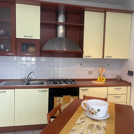 Angela S Corner Arezzo