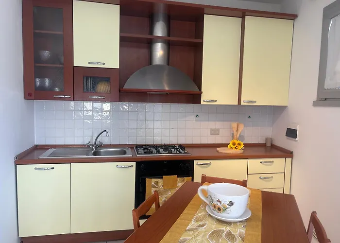 Angela S Corner Arezzo